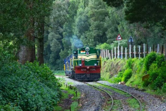 Relaxing Ooty Trip